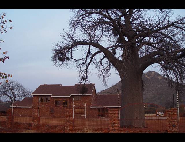 FARM FOR SALE IN MUSINA RURAL